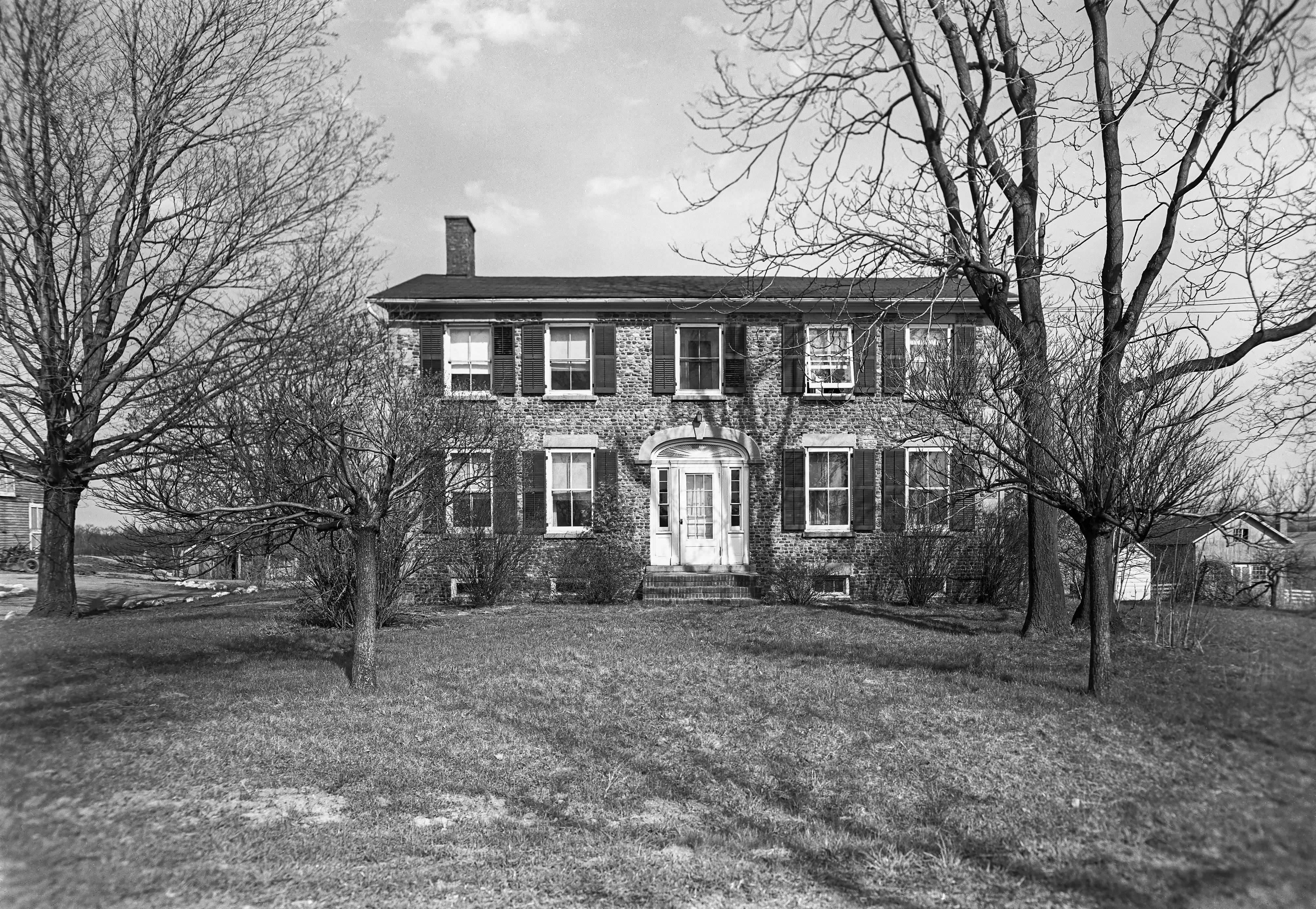 GP Monroe Chili Chi-1 6_1 N